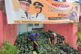 UMKM di Lorong Wisata Ini Sering Dapat Pesanan Dari Kantor Gubernur