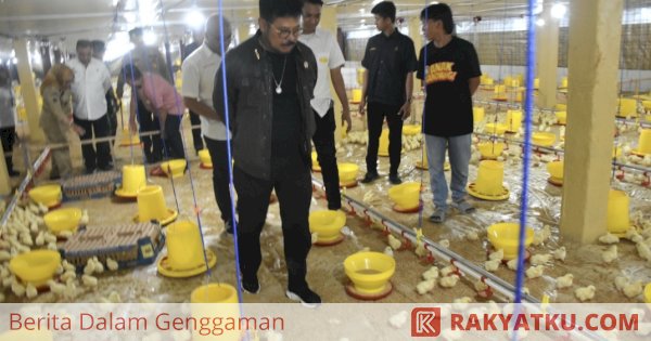 Mentan RI Resmikan Kandang Ayam Modern Berbasis Closed House di Gowa