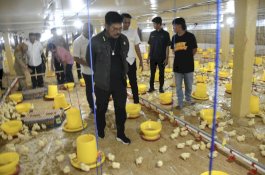 Mentan RI Resmikan Kandang Ayam Modern Berbasis Closed House di Gowa