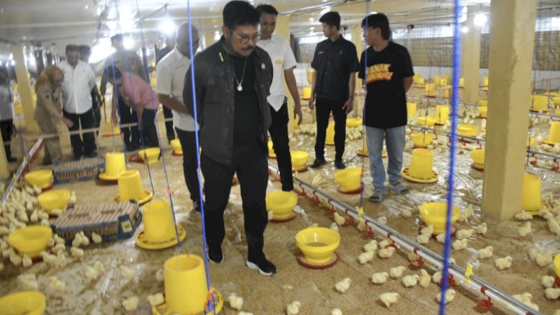 Mentan RI Resmikan Kandang Ayam Modern Berbasis Closed House di Gowa 