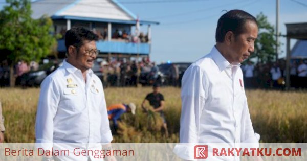 Presiden Jokowi Bersama Mentan SYL Panen Raya di Maros, Puas Produktivitas Tinggi