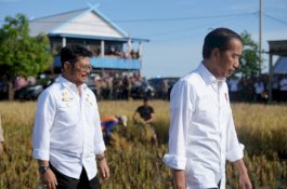Presiden Jokowi Bersama Mentan SYL Panen Raya di Maros, Puas Produktivitas Tinggi