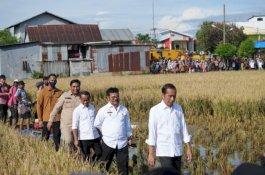 Sulsel Surplus Beras, Presiden Jokowi: Segera Distribusikan ke Wilayah Lain