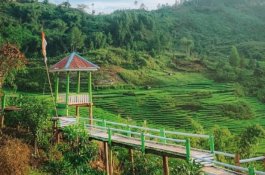 Bupati Luwu Utara Optimistis Desa Rinding Allo Bersaing di Anugrah Desa Wisata Indonesia