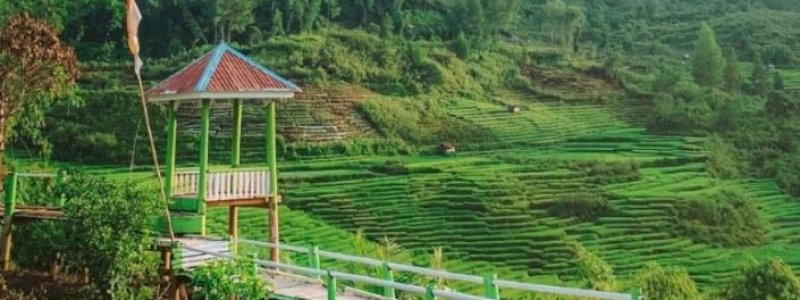 Bupati Luwu Utara Optimistis Desa Rinding Allo Bersaing di Anugrah Desa Wisata Indonesia