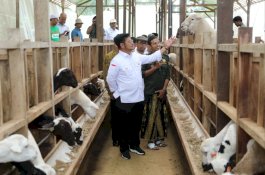 Mentan SYL Ajak Para Peternakan di Kabupaten Bogor Penuhi Kebutuhan Daging Lokal