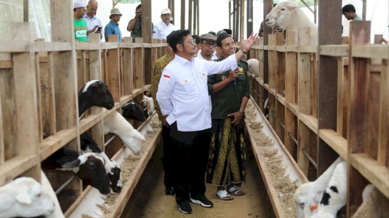 Mentan SYL Ajak Para Peternakan di Kabupaten Bogor Penuhi Kebutuhan Daging Lokal