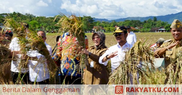 Mentan SYL Bersyukur Kabupaten Klaten Panen Padi IP400, Segera Perluas ke Daerah Lain