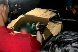 Warga Temukan Bayi Laki-laki Dalam Kardus di Wajo