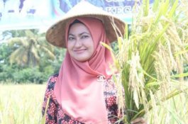 Luwu Utara Mantapkan Posisi sebagai Daerah Penyanggah Pangan di Sulsel