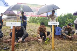 Demi Kembalikan Kejayaan Sutera di Sulsel, Gubernur Kembali Tanam 1 Juta Bibit Murbei di Wajo