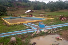 Hadapi El Nino, Mentan SYL Minta Jajaranya Dampingi Para Petani di Lapangan