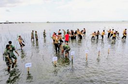 Kodim 1406 Wajo Tanam Mangrove untuk Jaga Kelestarian Alam