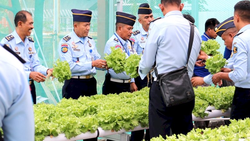 Manfaatkan Pertanian Modern Hidroponik, WPS Lapas Bulukumba Panen Selada