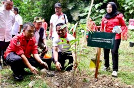 Bupati Chaidir Syam Dampingi Gubernur Sulsel Tanam Bibit Pohon Eboni di Bantimurung Maros