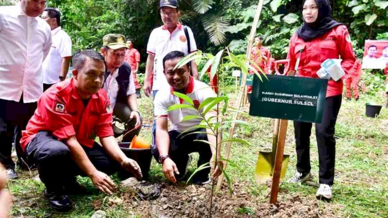 Bupati Chaidir Syam Dampingi Gubernur Sulsel Tanam Bibit Pohon Eboni di Bantimurung Maros