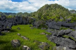 Geopark Maros Pangkep Resmi Ditetapkan sebagai UNESCO Global Geopark
