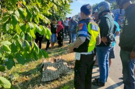 Motor Tabrak Pohon di Pangkep, Dua Korban Ditemukan Meninggal di Saluran Air