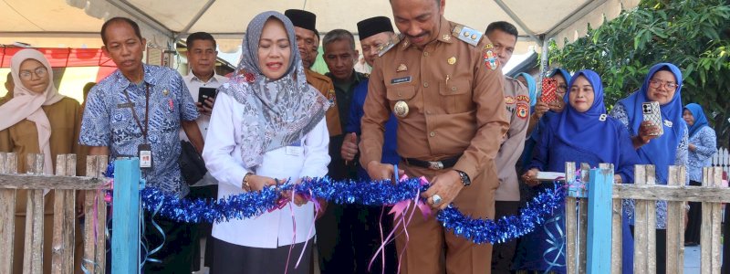 Pencanangan Sekolah Lansia di Wajo