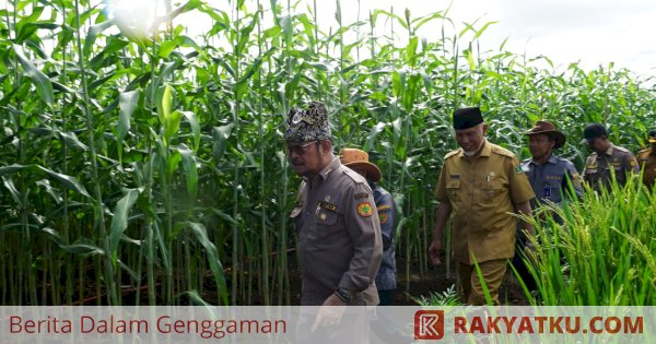 Pastikan Kesiapan PENAS XVI di Sumbar, Mentan Minta Konsolidasi Ancaman Krisis Pangan