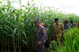 Pastikan Kesiapan PENAS XVI di Sumbar, Mentan Minta Konsolidasi Ancaman Krisis Pangan