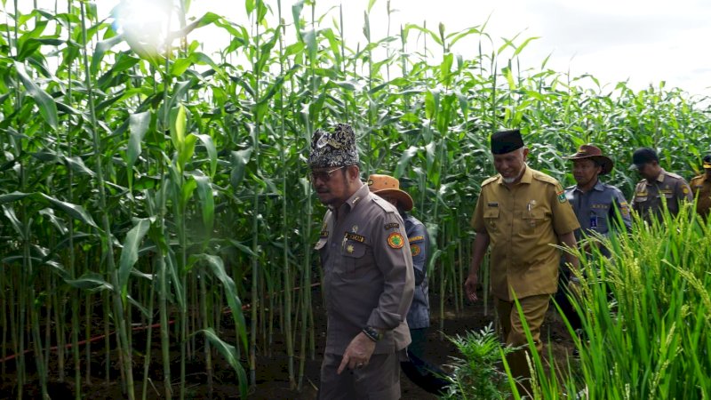 Menteri Pertanian RI, Syahrul Yasin Limpo.