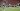 Leg Pertama Play-off Liga Champions Asia, Bernardo Tavares: PSM Makassar Tidak Dapat Waktu Persiapan yang Cukup
