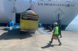 Kerbau Asal Surabaya Ditolak Masuk Makassar