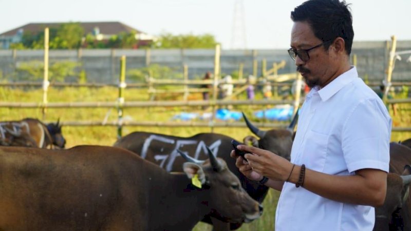 PD RPH Makassar memastikan kesehatan hewan kurban dengan karantina ulang. (Foto: Humas Diskominfo Makassar)