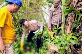 Warga Wajo Digegerkan Penemuan Tengkorak Manusia di Belakang Rumah