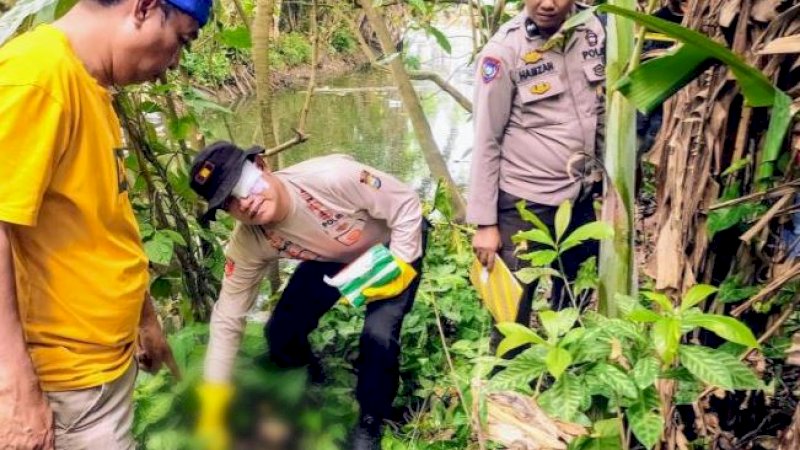 Proses evakuasi tengkorak manusia yang ditemukan di Dusun Karame, Kecamatan Belawa, Kabupaten Wajo, Sulawesi Selatan, Sabtu (10/6/2023). 