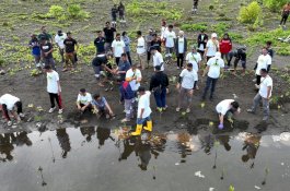 Hari Lingkungan Hidup Sedunia, PT Vale IGP Morowali Gelar Kegiatan Bersih Pantai dan Tanam Mangrove