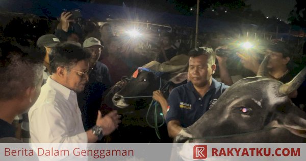 Peternak Sapi Bima Sampaikan Terimakasih Ke Kementan