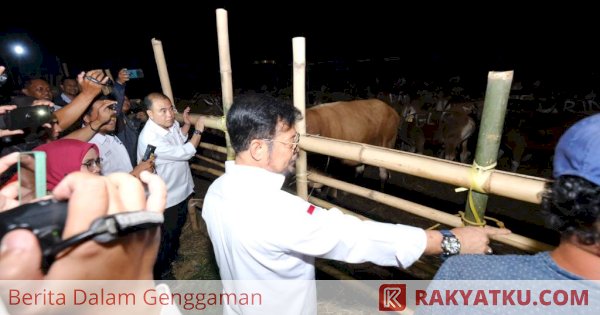 Stok Hewan Kurban di Gowa Dijamin Aman