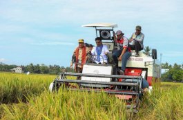 Pastikan Beras Aman, Mentan SYL Panen Padi dan Demonstrasikan Biosaka di Maros