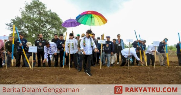 Mentan SYL Dorong Pengembangan Budi Daya Sorgum di Pangkep