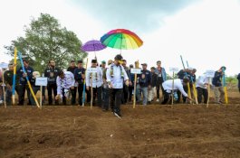 Mentan SYL Dorong Pengembangan Budi Daya Sorgum di Pangkep