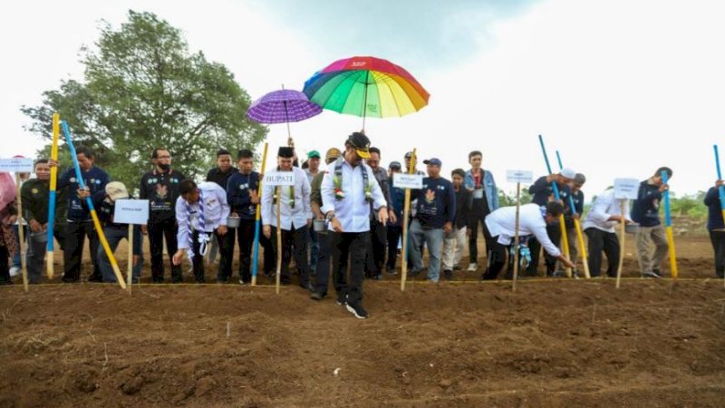 Menteri Pertanian (Mentan), Syahrul Yasin Limpo (SYL), melakukan tanam sorgum di Taman Teknologi Pertanian Desa Bara Batu, Kecamatan Labakkang, Kabupaten Pangkajene dan Kepulauan (Pangkep), Sulawesi Selatan (Sulsel), Jumat (23/6/2023).