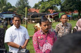 Kementan Himbau Hewan Kurban Dijaga Sanitasi dan Kebersihannya