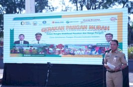 Pemprov Sulsel Gelar Gerakan Pangan Murah Serentak di 24 Kabupaten/Kota
