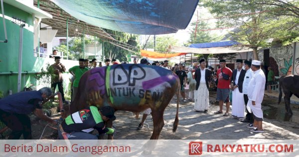 Danny Pomanto Saksikan Pemotongan Hewan Kurban dan Gelar Open House