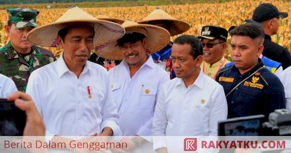 Jokowi Pastikan Program Food Estate Keerom Berkembang Baik