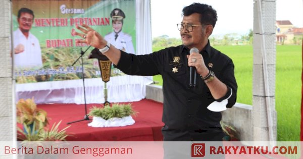 Klaten Berhasil Tangani Hama Wereng Pakai Cairan Ramuan Lokal, Mentan SYL Puji Langkah Petani