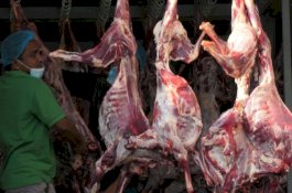 Daging Haji Tamattu Akan Diolah Jadi Rendang untuk Bantuan Sosial di Indonesia