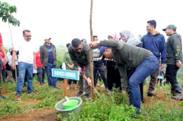 Ribuan Bibit Pohon Ditanam di Tombolopao Gowa
