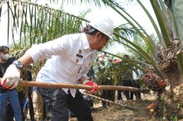 Mentan RI Dorong Provinsi Sumsel Jadi Percontohan Pengembangan Sawit Nasional