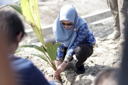 Bupati Luwu Utara Bersama Perhiptani Tanam 2050 Pohon di Bantaran Sungai Masamba dan Radda