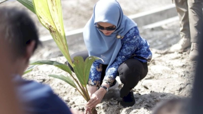 Bupati Luwu Utara Bersama Perhiptani Tanam 2050 Pohon di Bantaran Sungai Masamba dan Radda