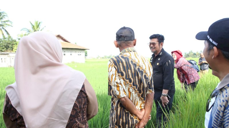 Tinjau Sawah di Cianjur, Mentan SYL Dorong Percepatan Gertam Padi 1.000 hektare