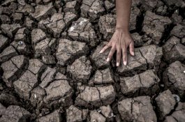 Prediksi BMKG, El Nino Bertahan hingga Akhir Tahun 2023